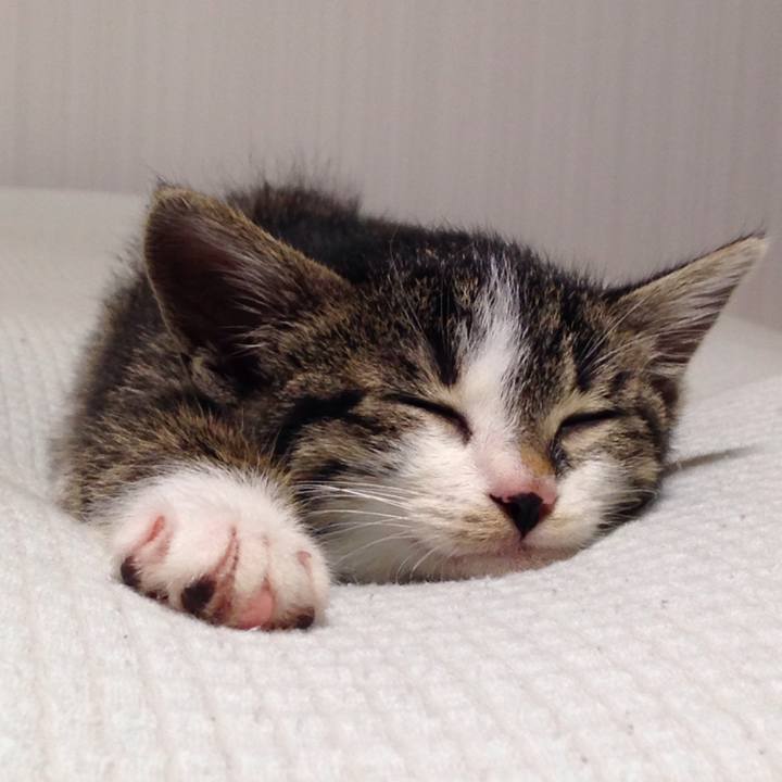 973dba67 8720 4a53 b008 4b83debf250d