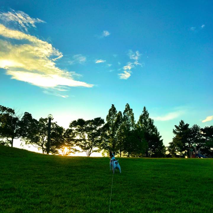 973df7da fa25 4791 89ad 3f8ef75964d3