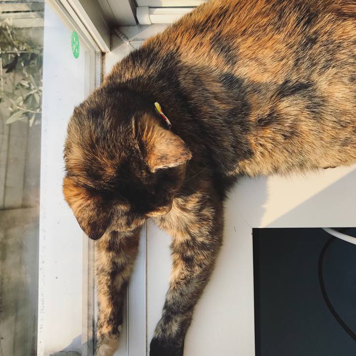 973e2589 142f 4e6f b656 b5475d456a3f