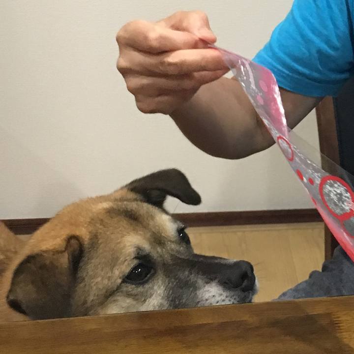 973e8ca2 0f0f 45d3 8029 bf80ecc88357