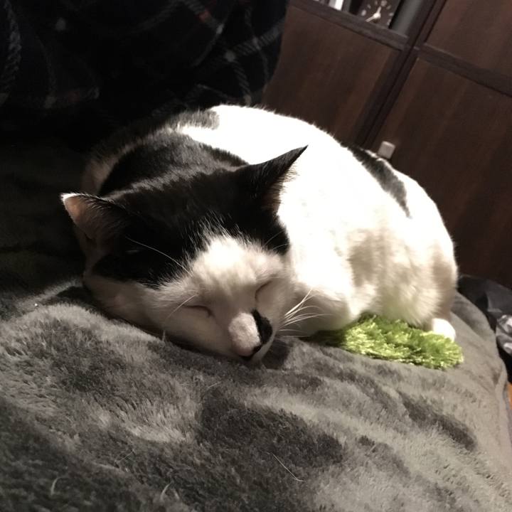 973ea686 bd81 42c7 bf8b 85be0cee022d