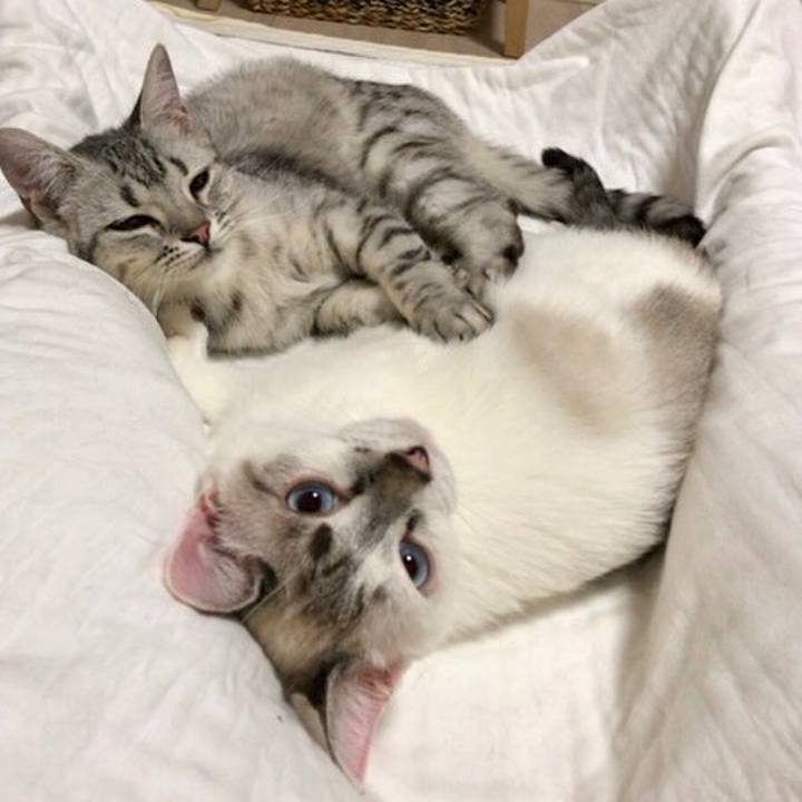 973fbe93 27a4 4623 b295 f65f3c362583