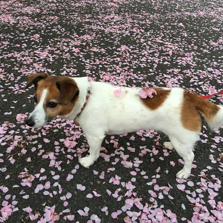 973fcfa6 2f95 4868 a138 cfaa71a74bb4