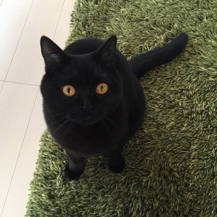 973fdf9f 9751 4a8b b9b9 ee98f7f1aa6b