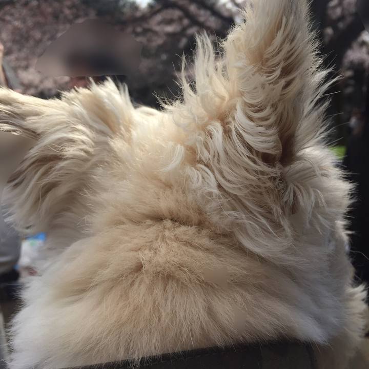 974021f3 c899 4764 ba12 62053cf24499