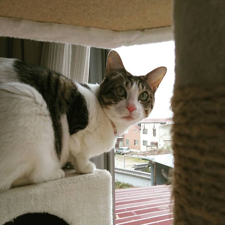 97407c1e 01ba 4a96 9468 fcbf5789d011