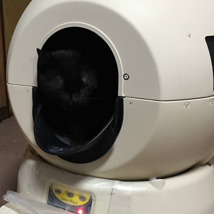 9740ac30 b815 461b ad19 39db0086163d