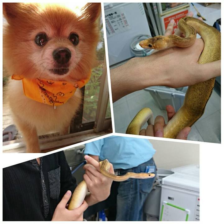 974106d3 1af9 4a0c b5a0 26b7c0ca0ecf