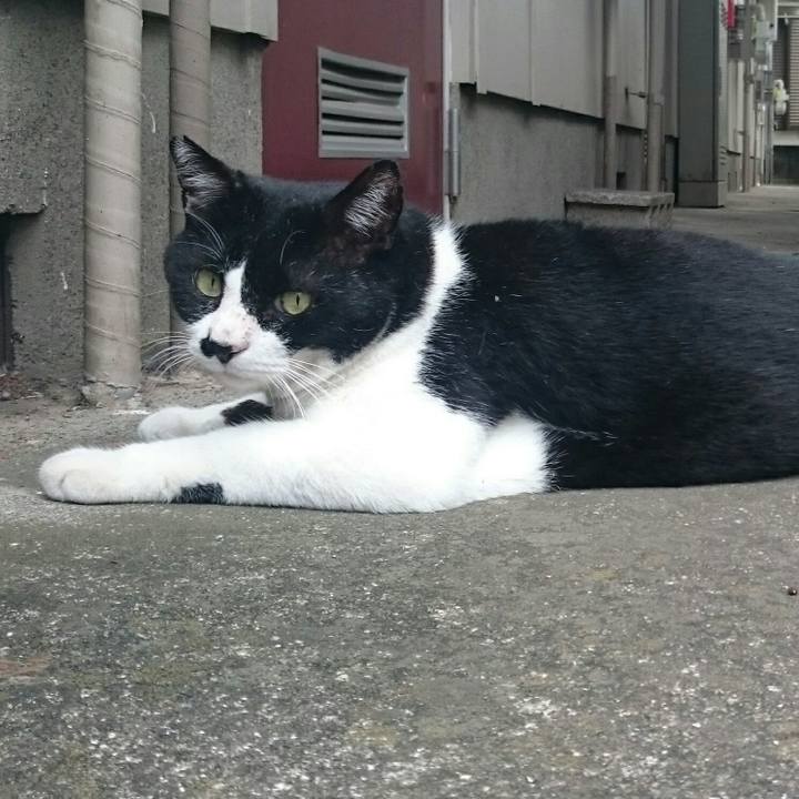 974107ee 1195 4916 bf34 688680049430