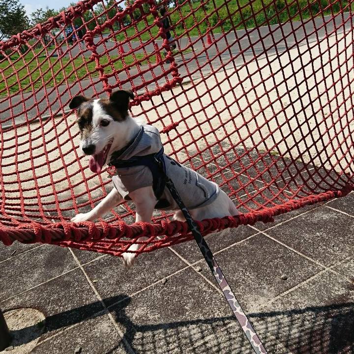 97417862 5788 43a7 a2c9 d6e8f0370c73