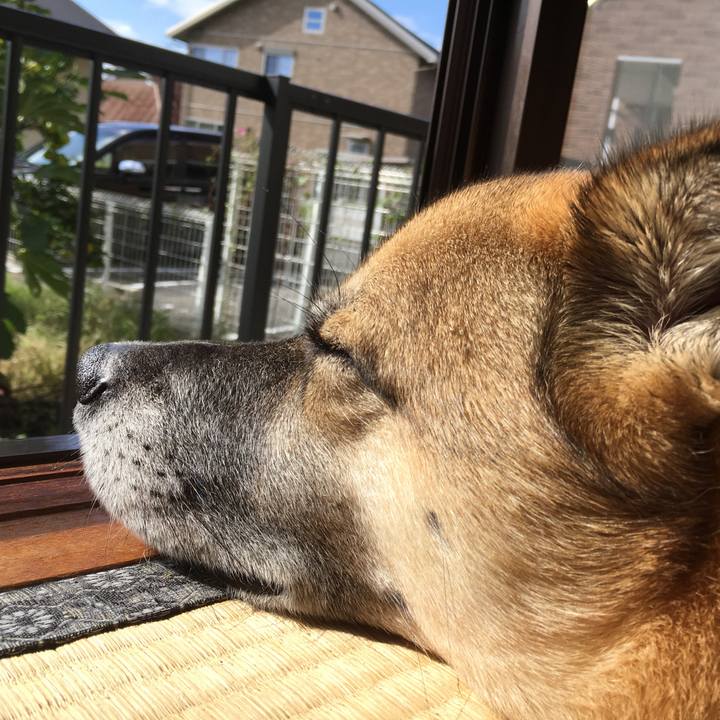 974179a0 0efb 48fe 9ed6 70cb4b27c686