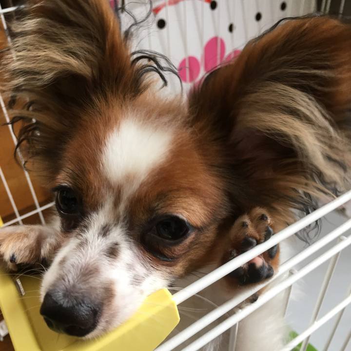 9741e95d cf59 4189 a78b dc2047e194fd