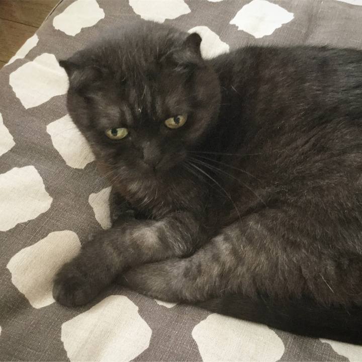 9743293d b8ce 4fbd be71 61ec6645806d