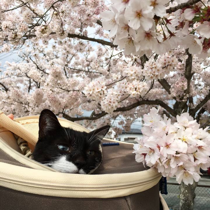 97440e0f 7faa 4e99 9f59 d6a518cb67d2