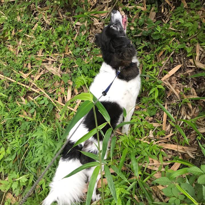 97442352 66bc 4399 a88e 88e343a3c235