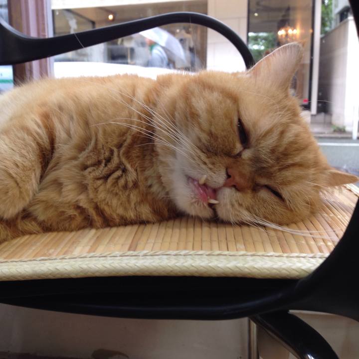 974447f8 7cd1 4579 b092 5ffc7a4a2db4