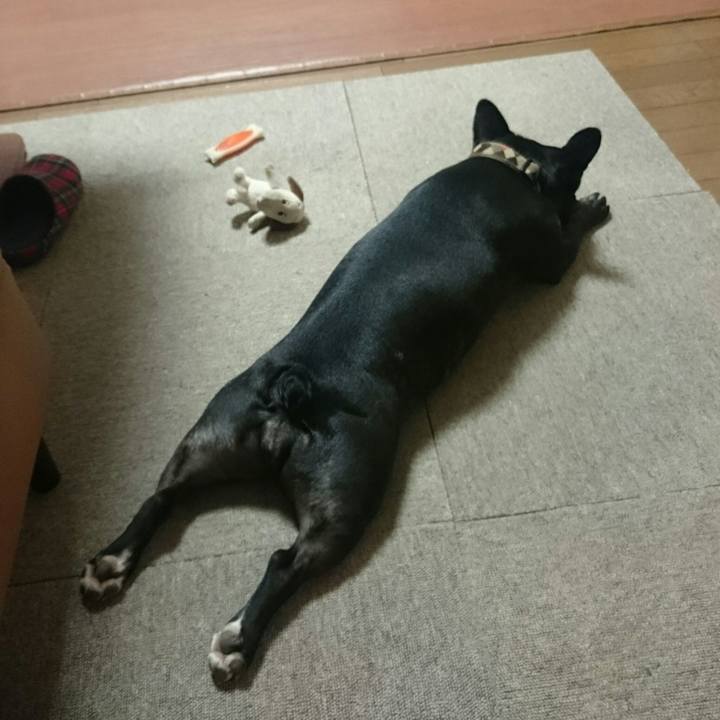 97458b74 2d3a 46d3 b220 466bb6c0e182