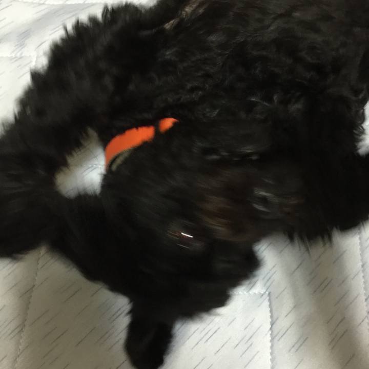 9745b3df 7edf 414d af23 23757ed33c32