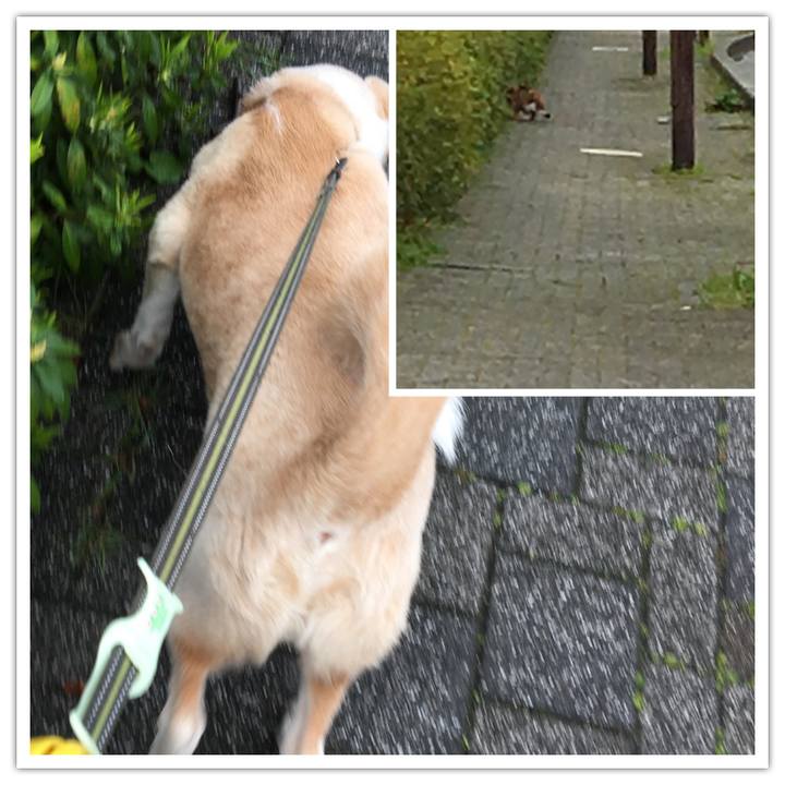 9746079f 7488 448a 88b6 87aa80e17e20