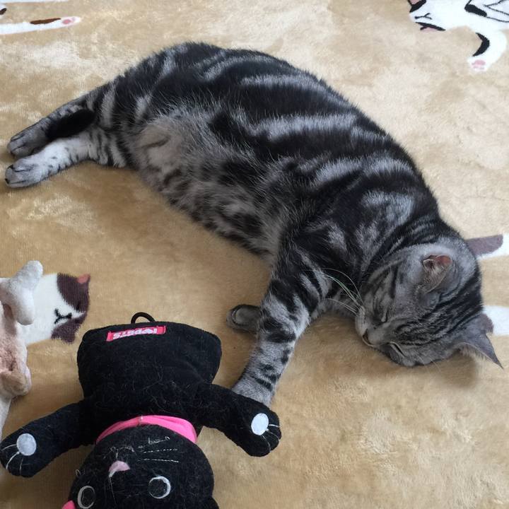 97463d12 8255 414e 8525 068017d81a5c