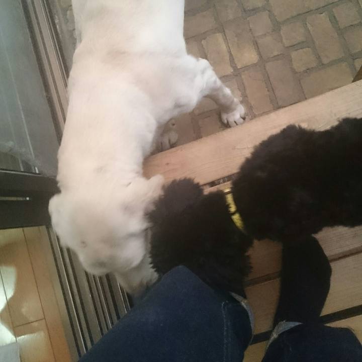 9746fd34 6275 4928 9bc0 fa43ab6749b1