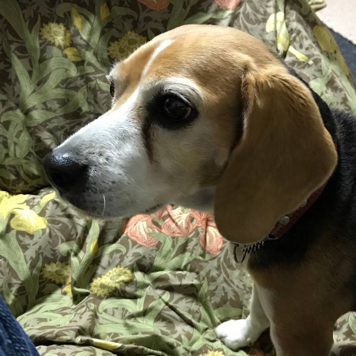 97474689 8323 41f9 9a10 1df17f18494b