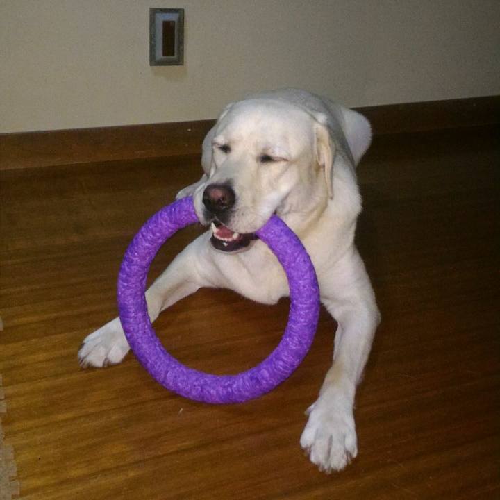 97477162 daee 41a1 9a9f 77d768ecc927