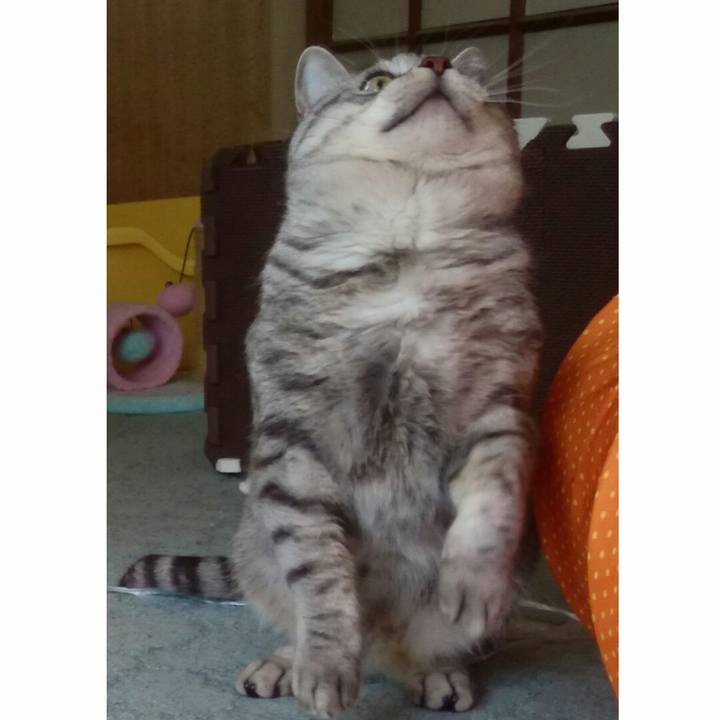 9747fc16 141b 411a 906f 2650fe4d25ef