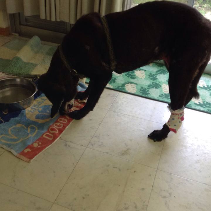 9748d864 b7bd 4dac bd1a 1faa46adf4d9