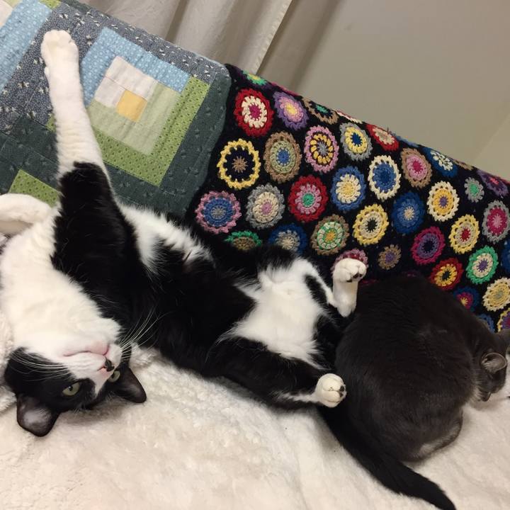 97493a20 2a13 4afa bd2c 04836a2dc9dd