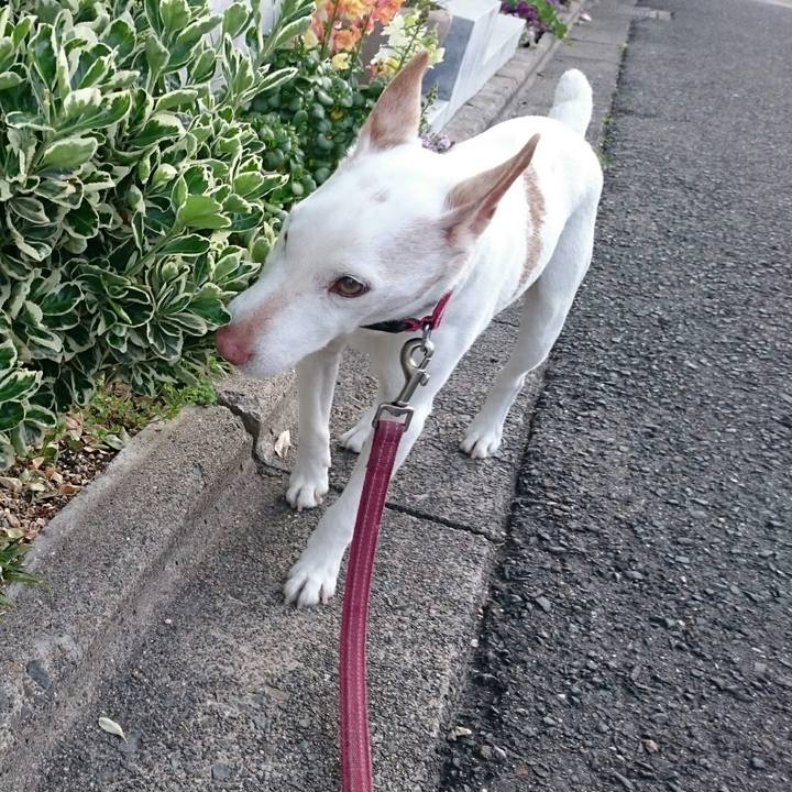 9749ae41 1dd5 4bc0 96a6 f9b3c923e7fc