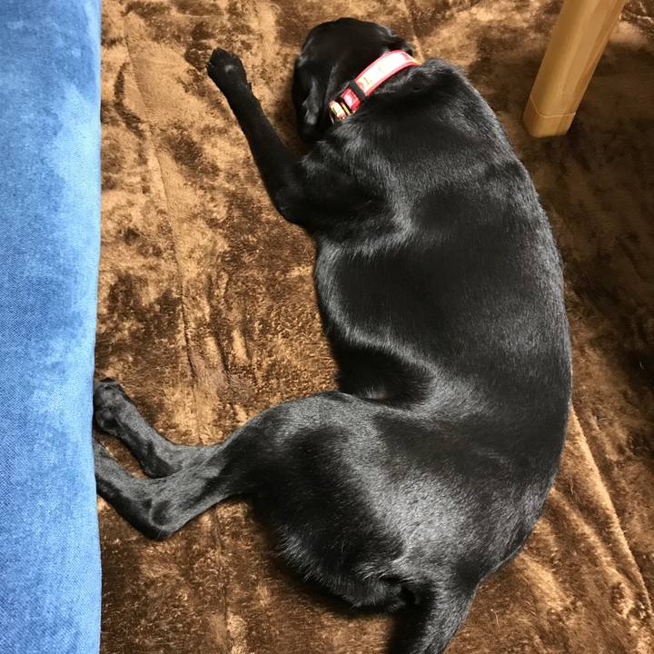 974a12a7 cbe8 40f8 b074 58449a481997