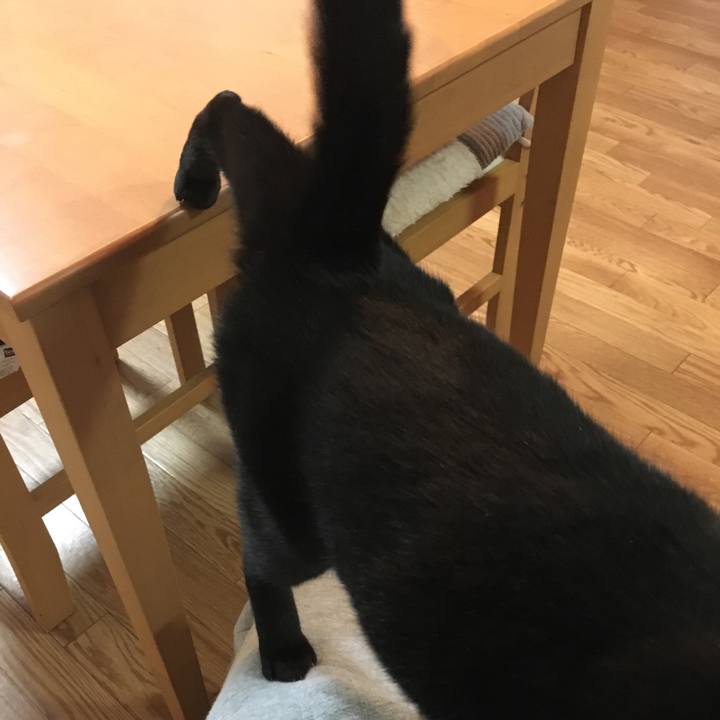 974b2d30 69dc 49fa 9484 7fb50390851b