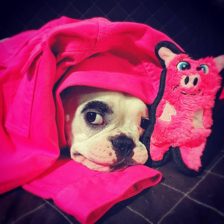 974bddc3 bb13 4f1f b891 b19e21e68e60