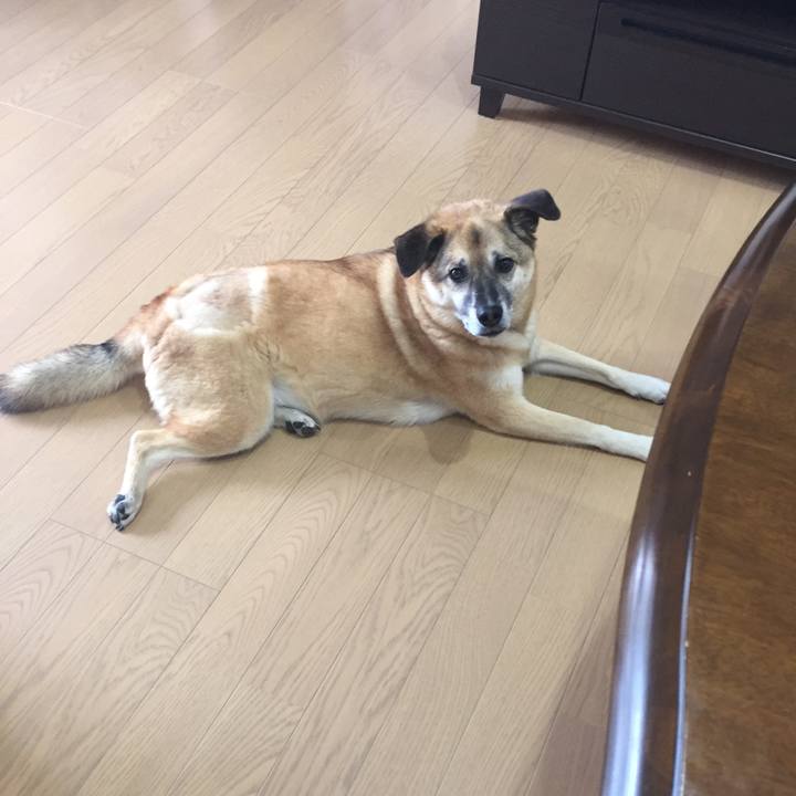 974d0fbb 569a 4694 8864 6628d9bf8c35