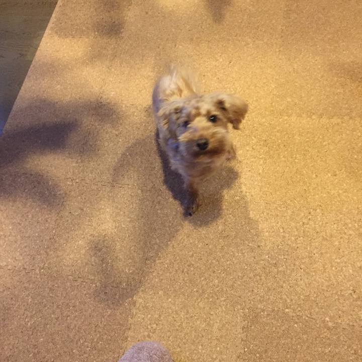 974de2af 1989 465d 811a 3dbf0c9f6e09