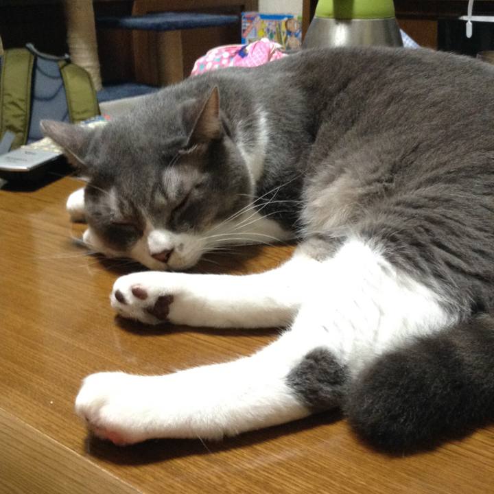 974f35ab 5562 4472 b692 290ec28c29da