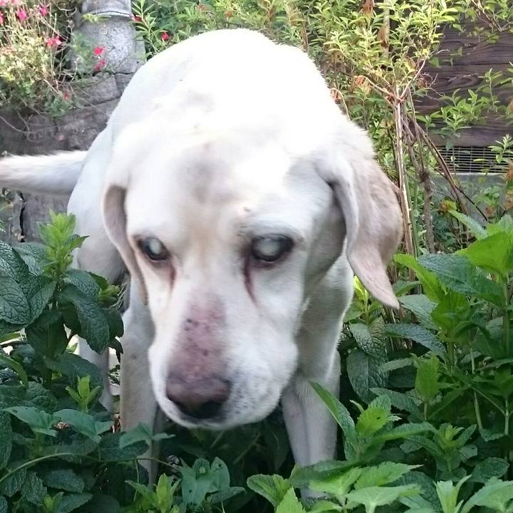 974f645c 7e98 4bf0 a551 df78ad1afebc