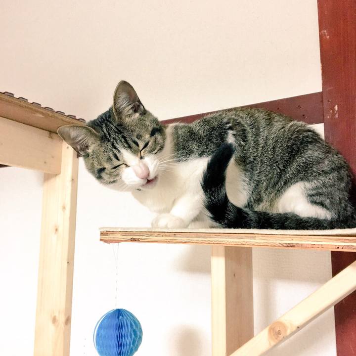 974f6f28 5fb1 4f3d bc28 b7fd42f60ffe