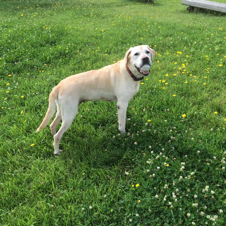 974fb64a e366 4756 848a d6b7032653c3