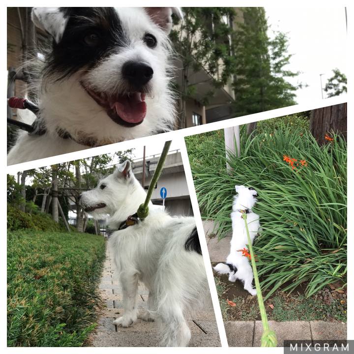 974fe2c6 e387 44bf b5a4 e98c8562047d