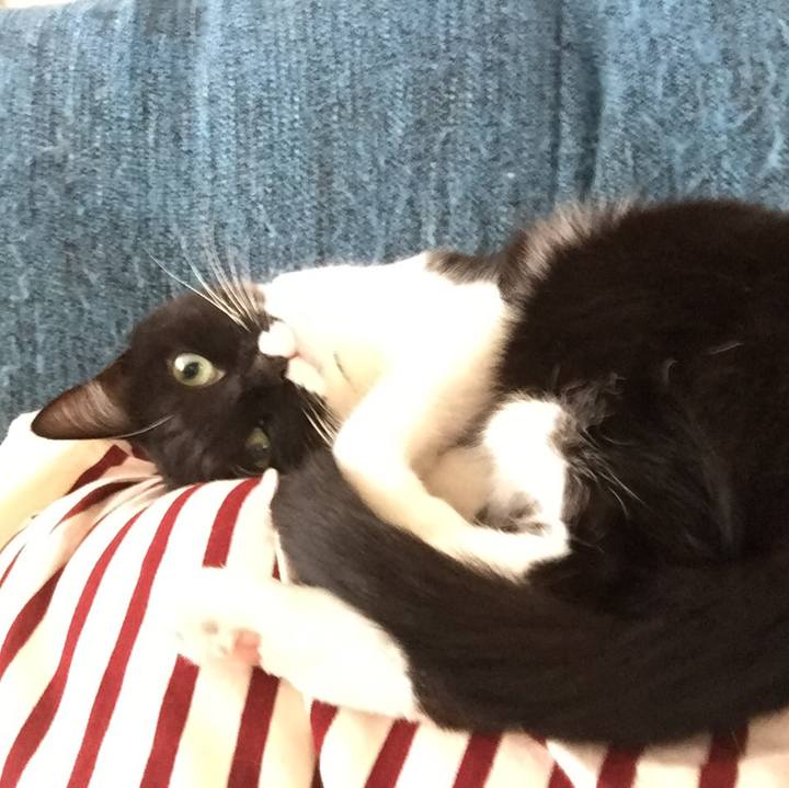 97506076 314e 4b01 aa60 84b9b6a15e3c