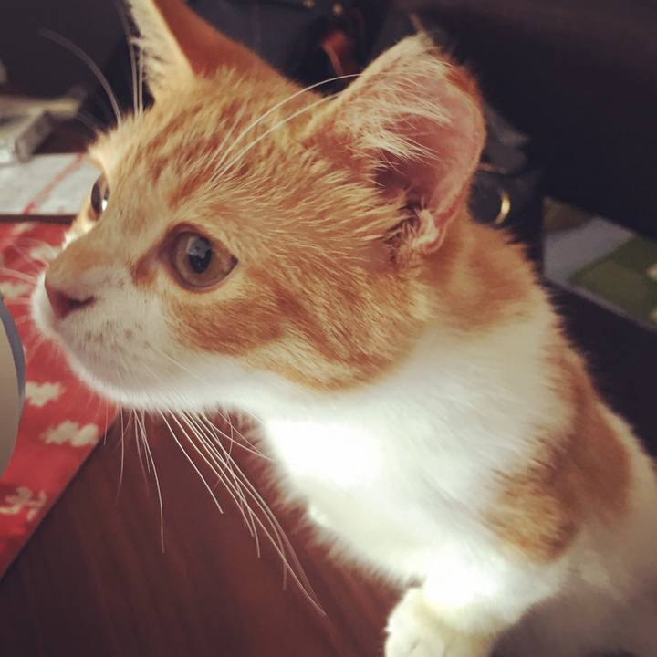 97506eb9 efd4 4590 b2d5 ac6441408d37