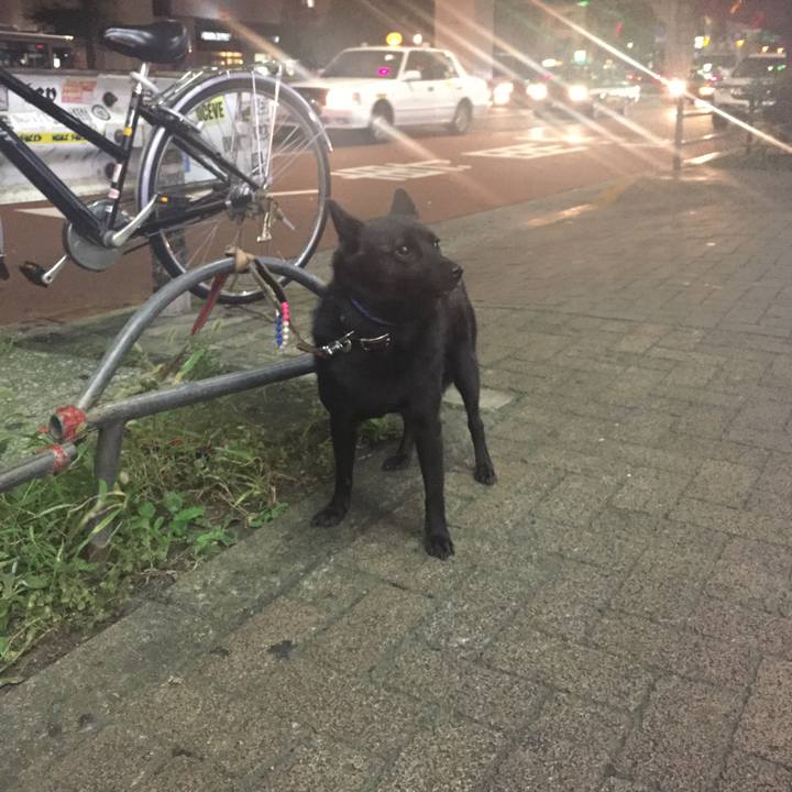 9750ef70 a29f 450f a798 db306b740d49