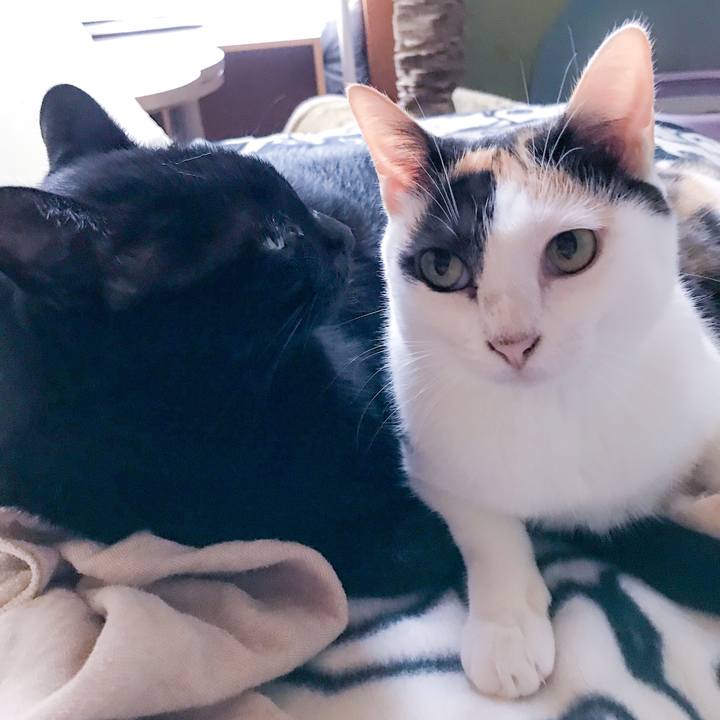 975135a1 1b4c 4412 8d31 d2d98389b915