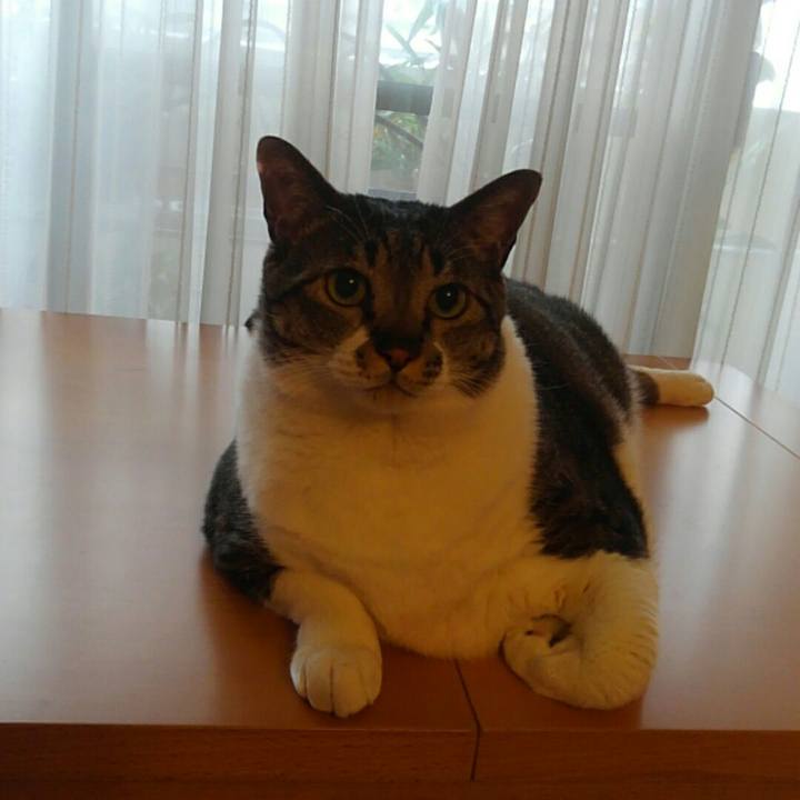 9751ab6b 09d3 4817 a27e edacdcd5c7a1