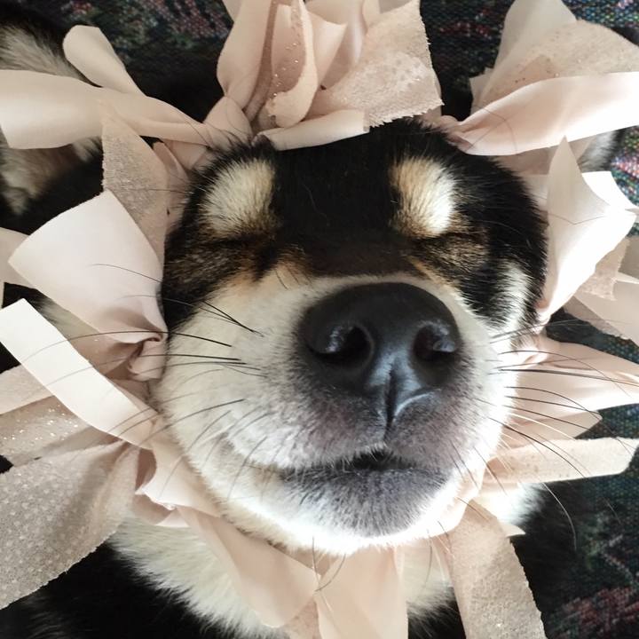 97521529 d485 4a29 817e 3d9591081332