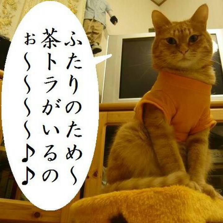 975266e6 4a54 4065 b2d9 d5ef46bd55e0