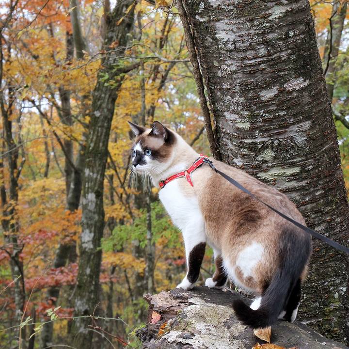 97527dd0 c0e1 4b4b ab19 2f7498300b88