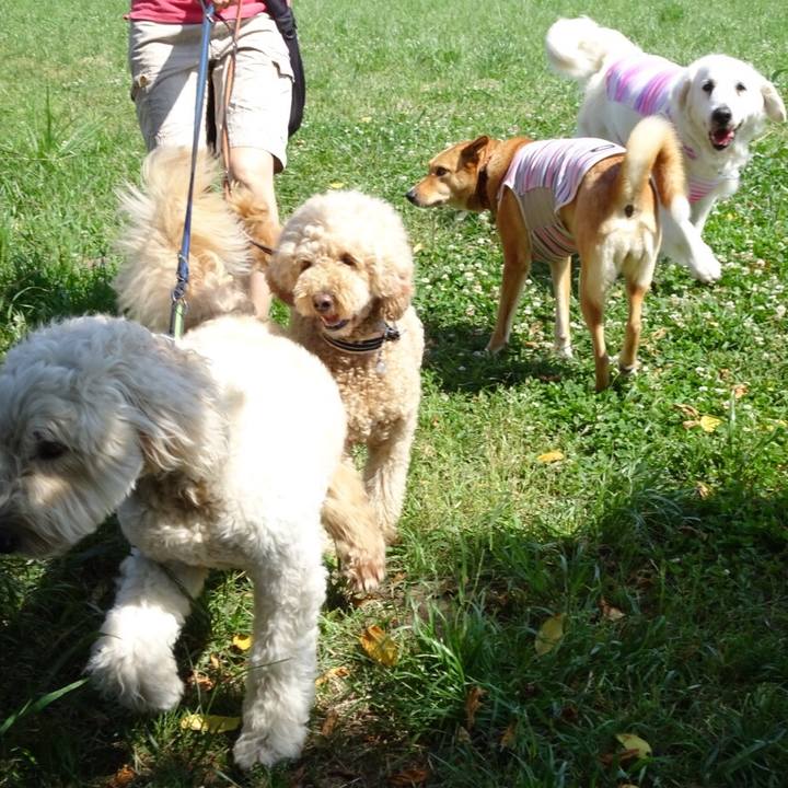 9752c70a 5501 493c ac26 41bc58fd9783